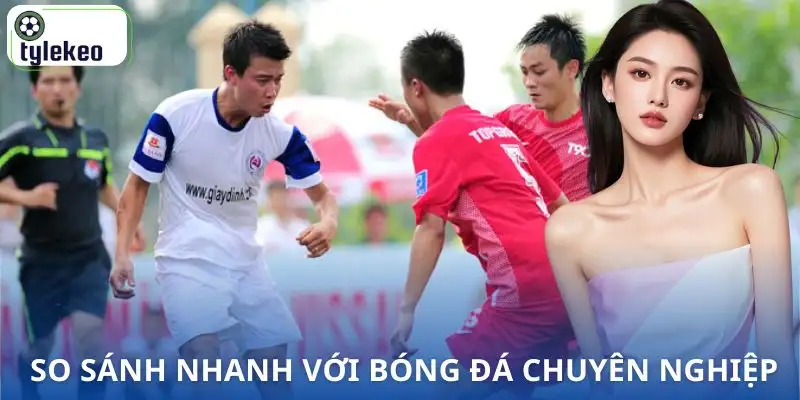da-phui-la-gi-so-sanh
