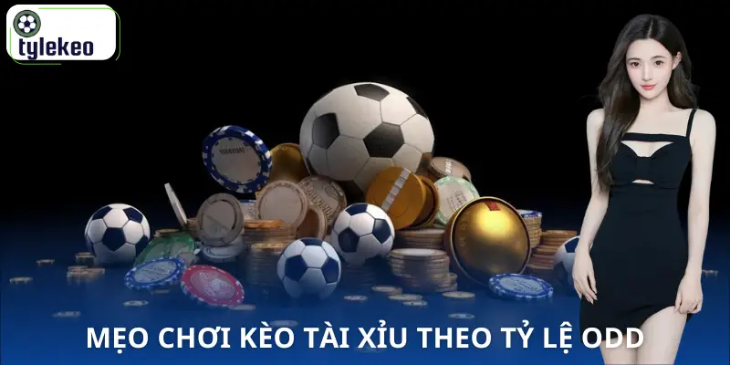 tai-xiu-2-5-3-meo-choi