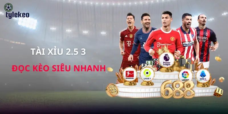 tai-xiu-2-5-3